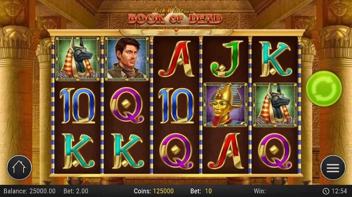 100 Free Spins Book Of Dead